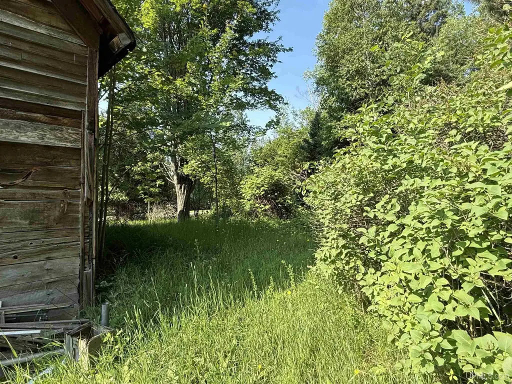 Picture 22