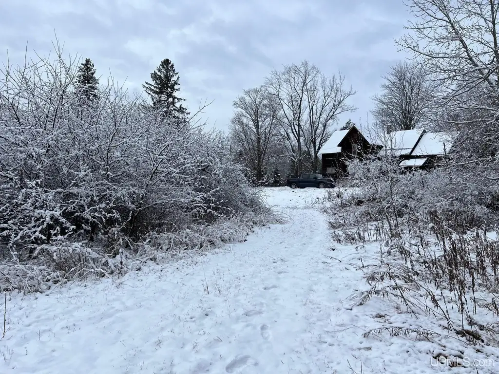 Picture 48