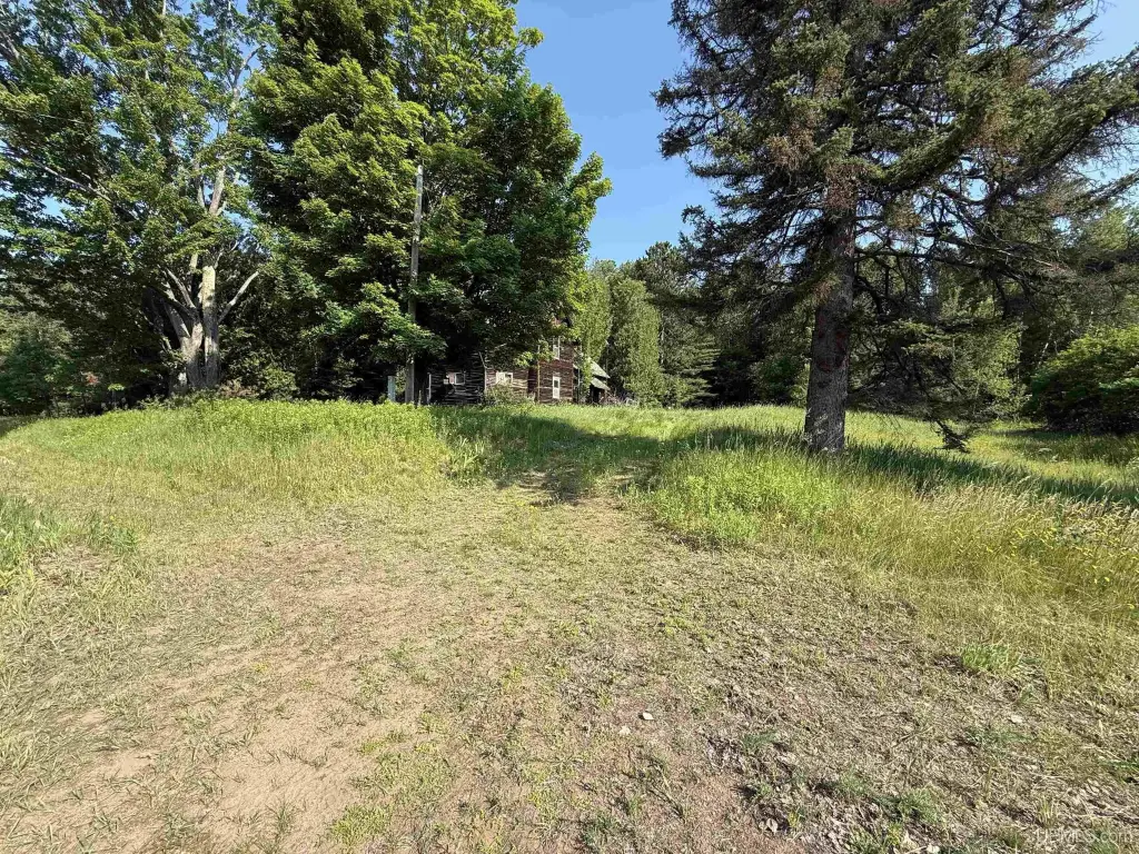 Picture 10