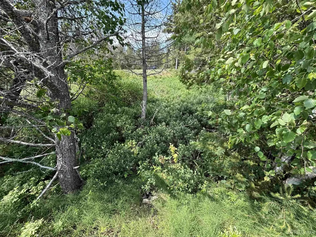 Picture 28