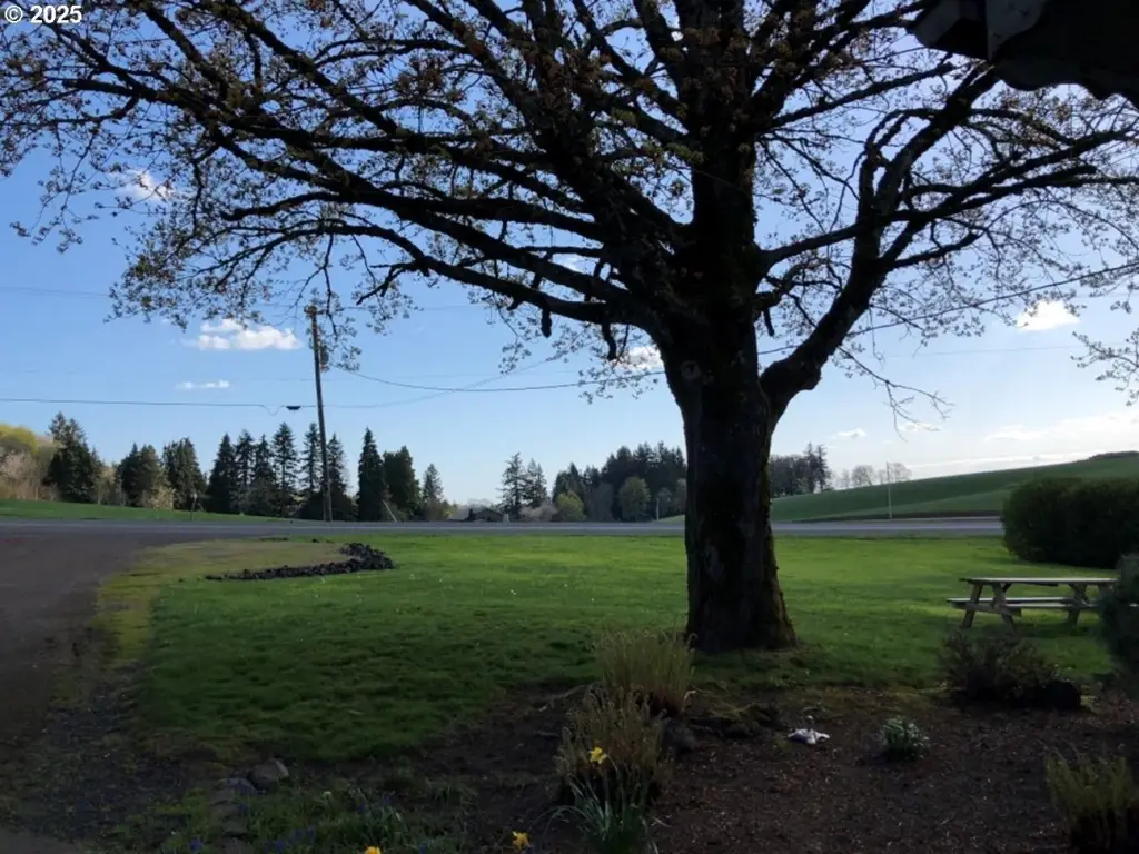 Picture 25