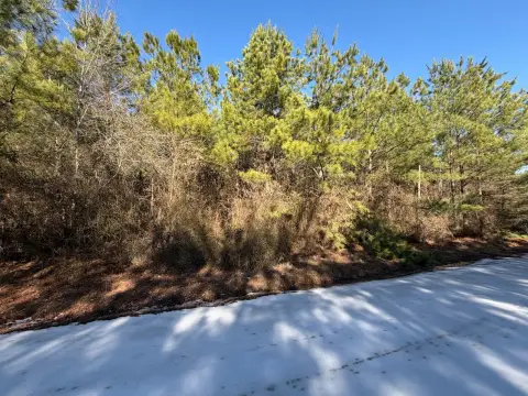 Wooded Lot in Broken Bow