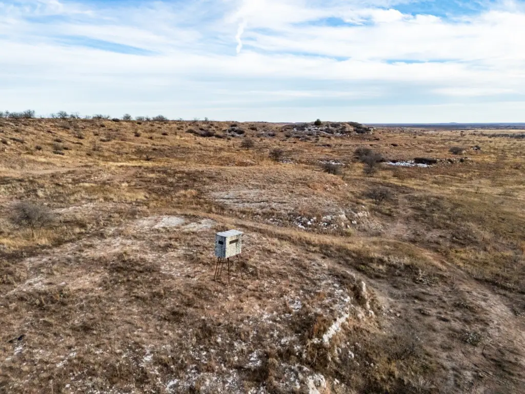 Picture 7