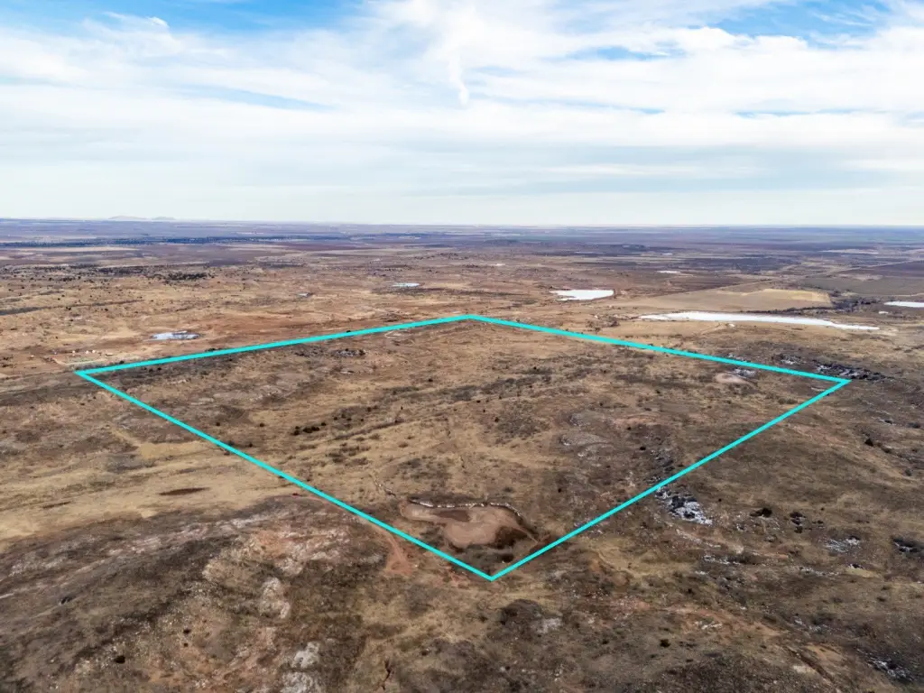 Picture 94