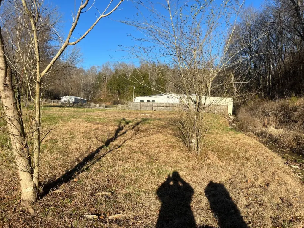 Picture 16