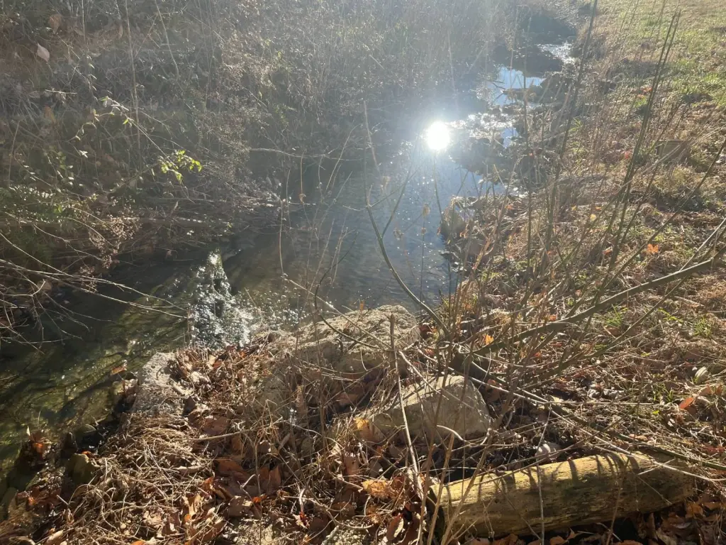 Picture 17