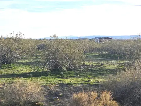 Off-Grid Land in Golden Valley