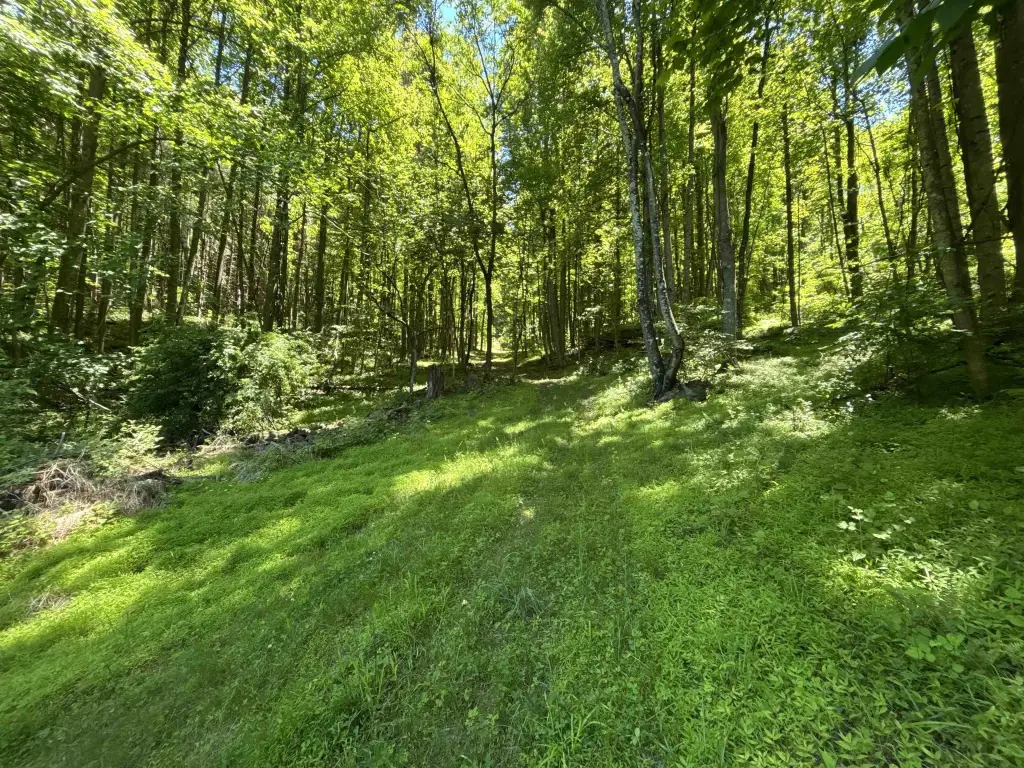 Picture 20