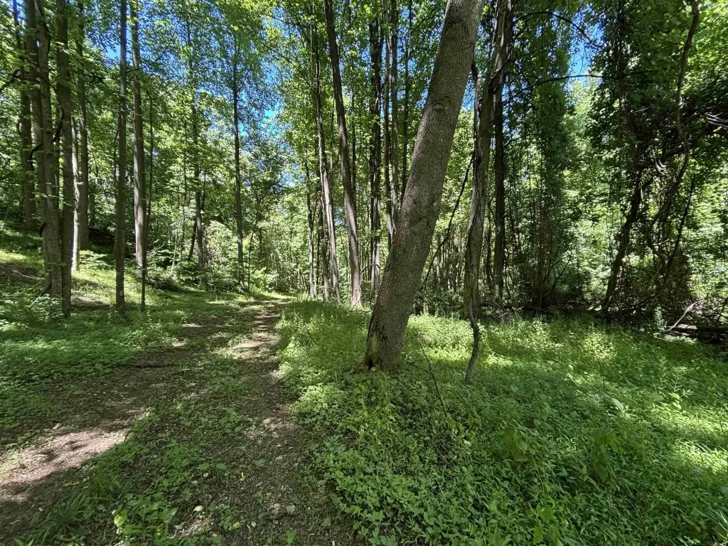 Picture 19