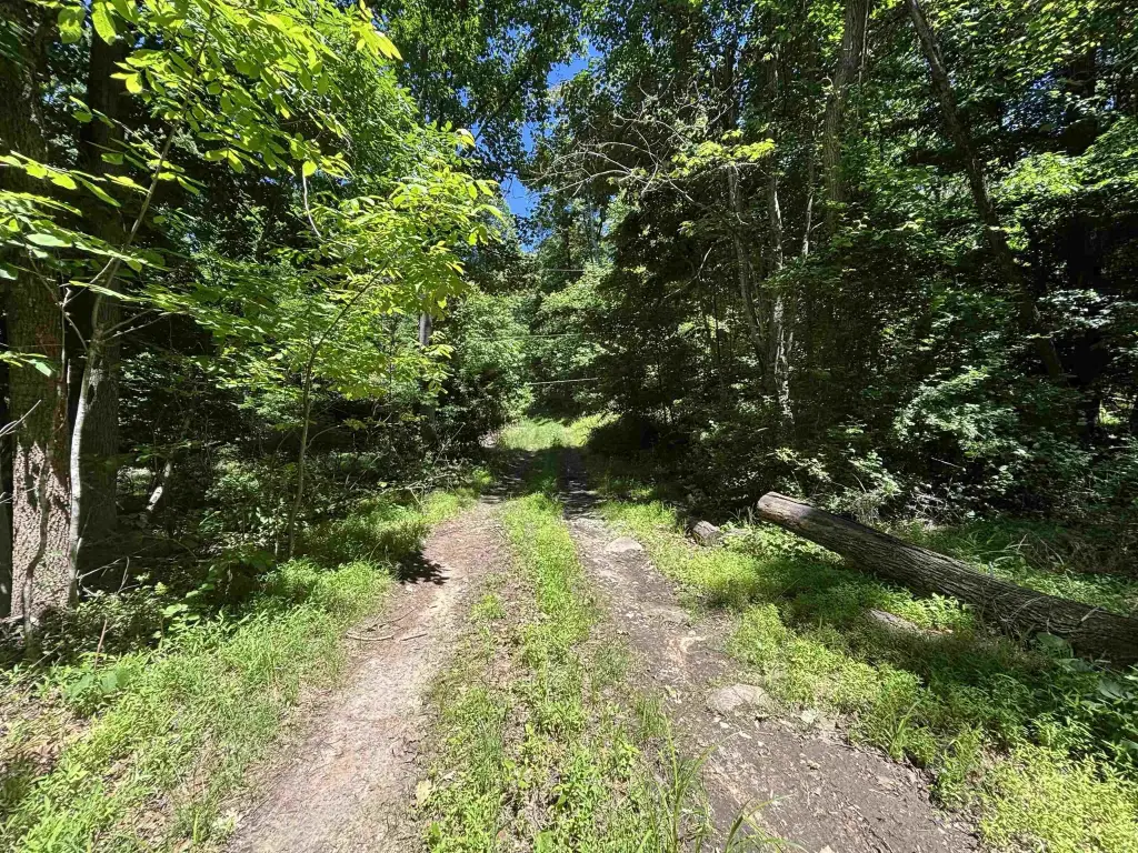Picture 17