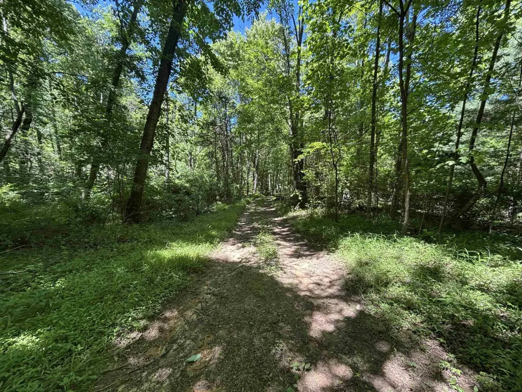 Picture 18