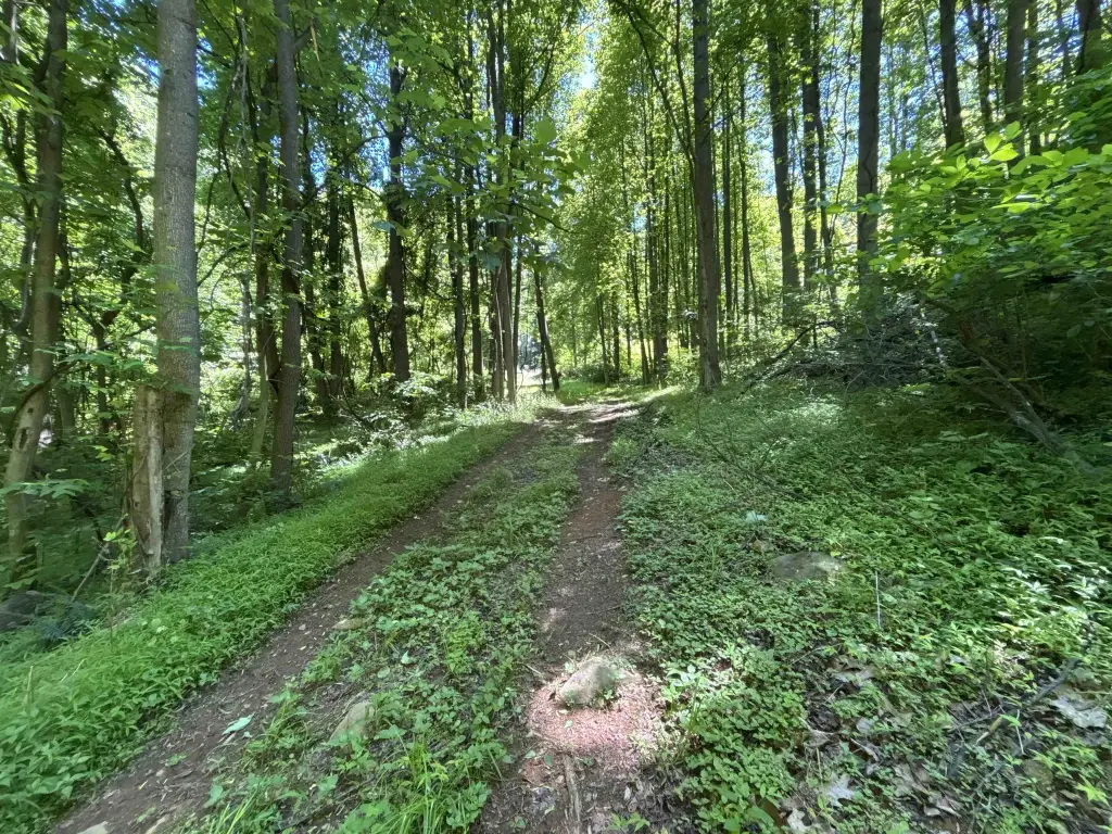 Picture 8