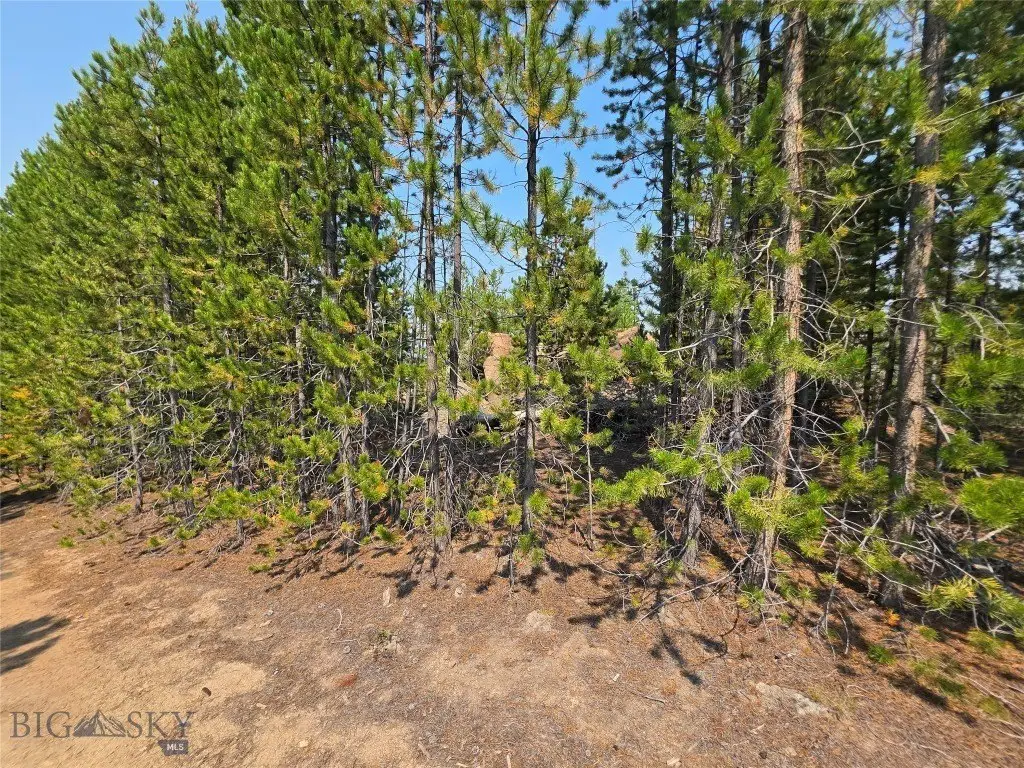 Picture 26