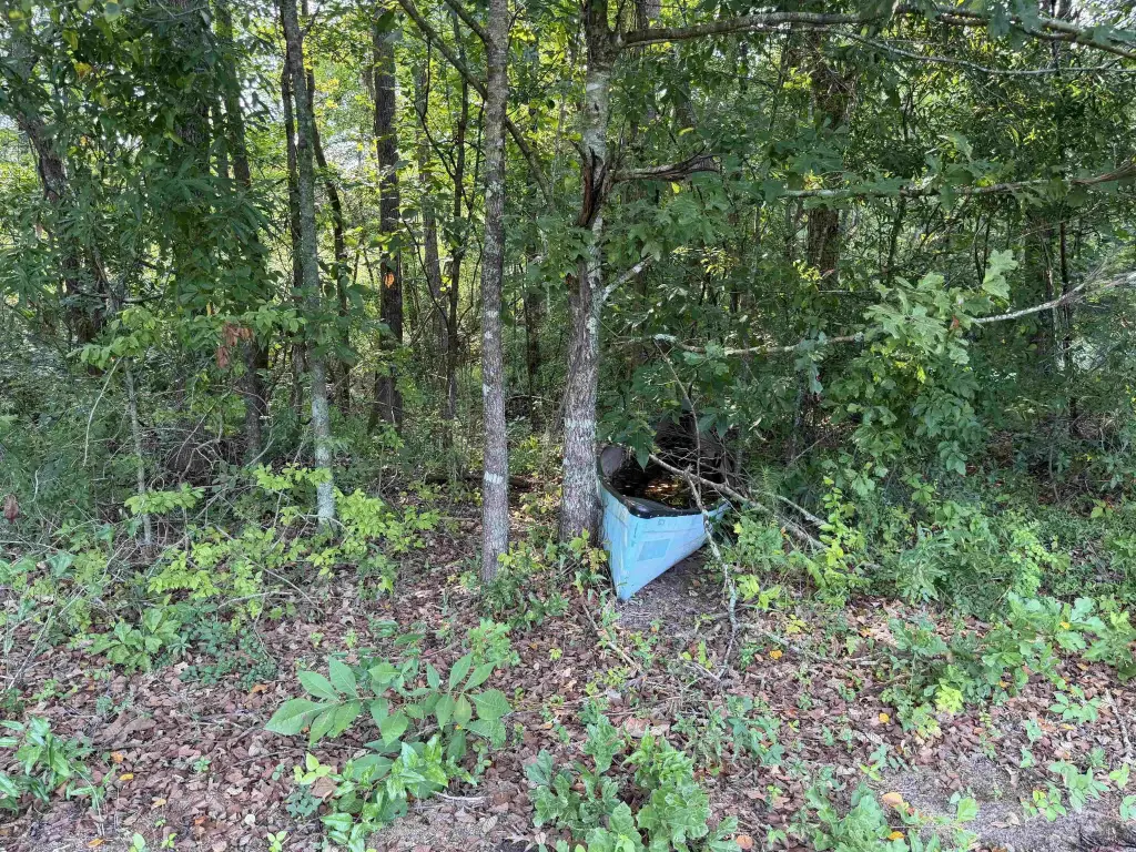 Picture 17