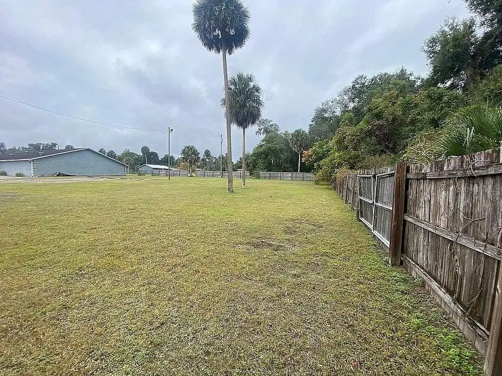 Picture 6