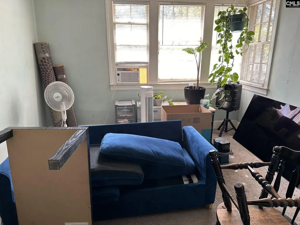 Picture 17