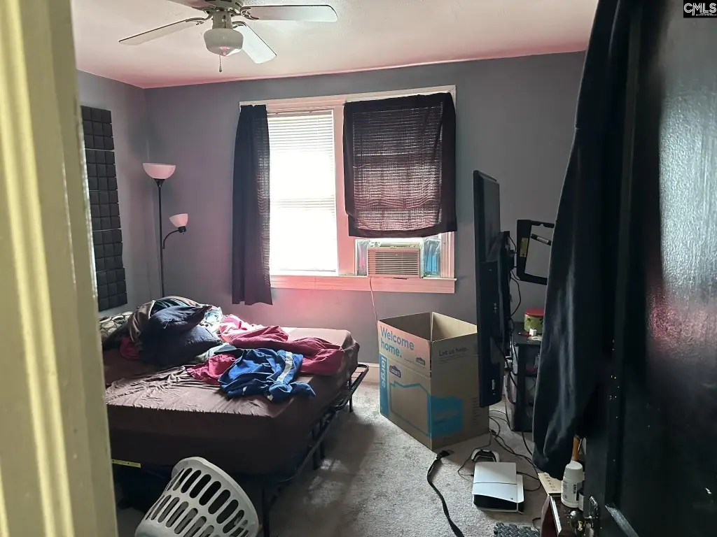 Picture 27