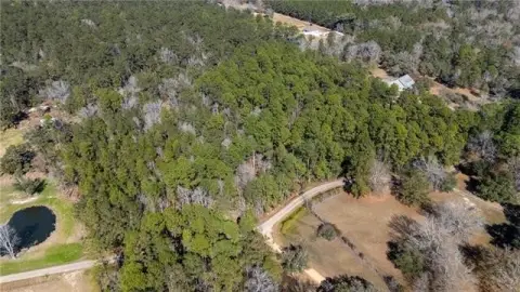 Wooded Land in Madisonville, LA