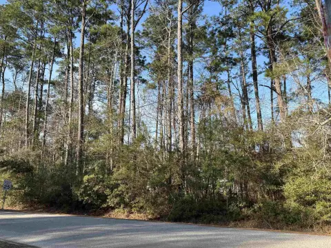 Pawleys Island Residential Lot