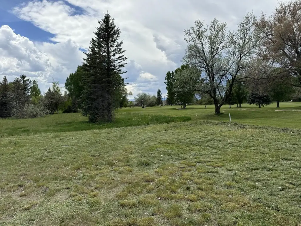 Picture 5