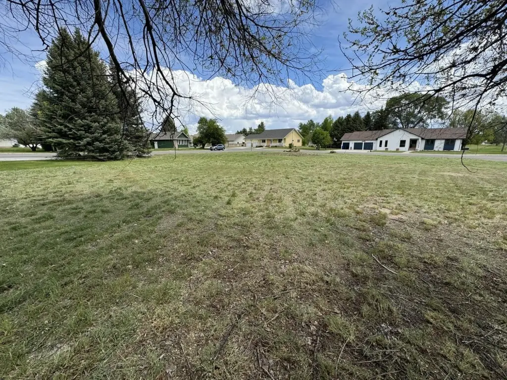Picture 8