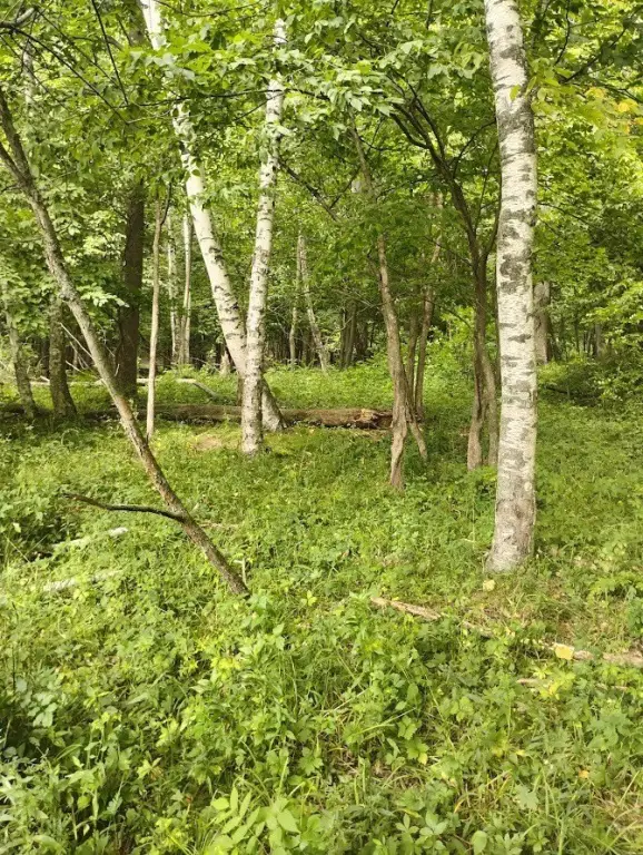 Picture 6
