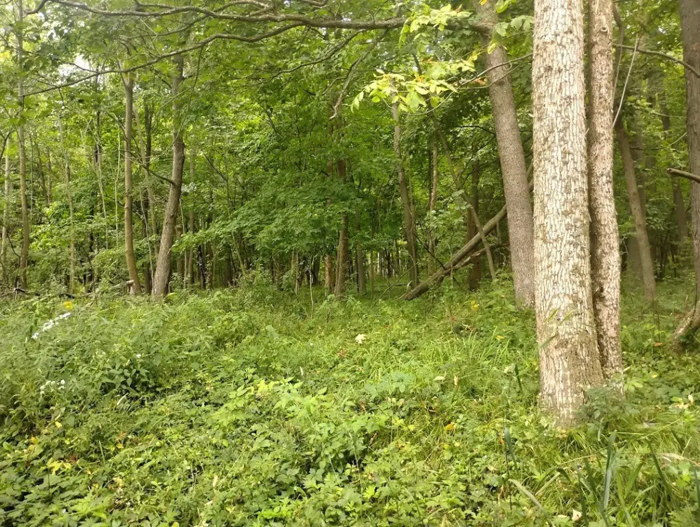 Picture 4