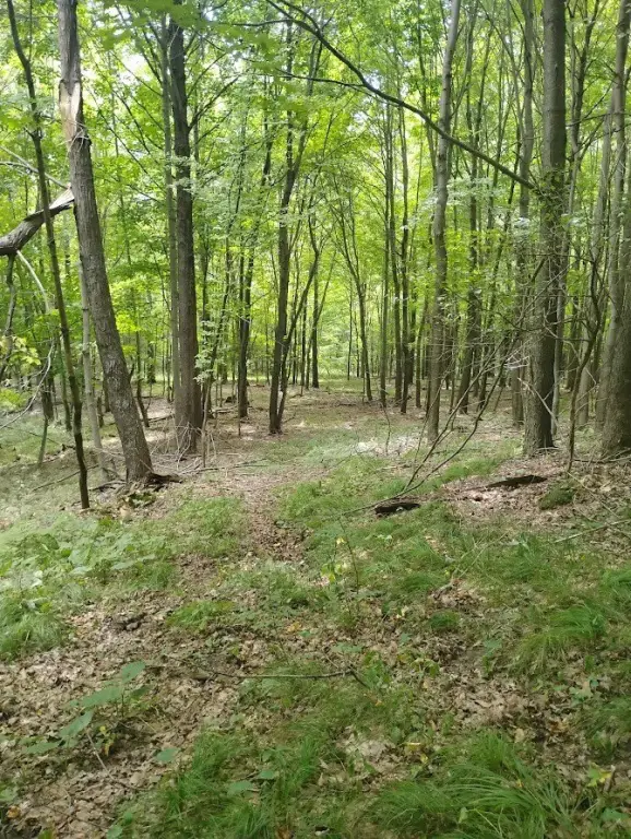 Picture 25
