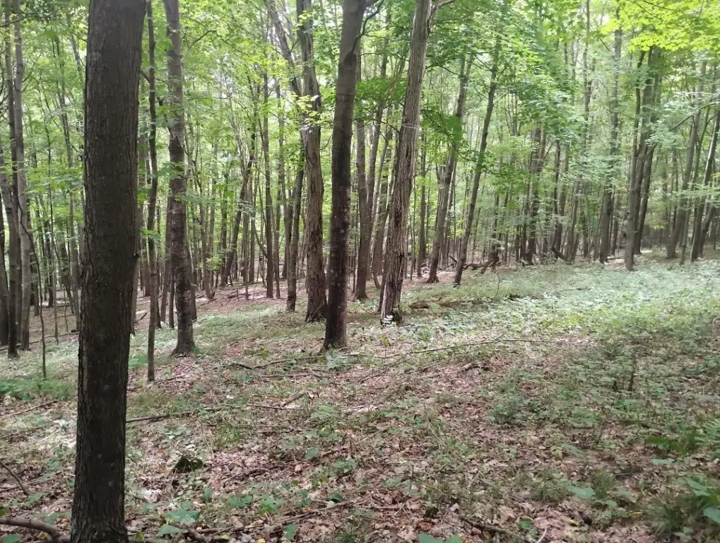 Picture 2