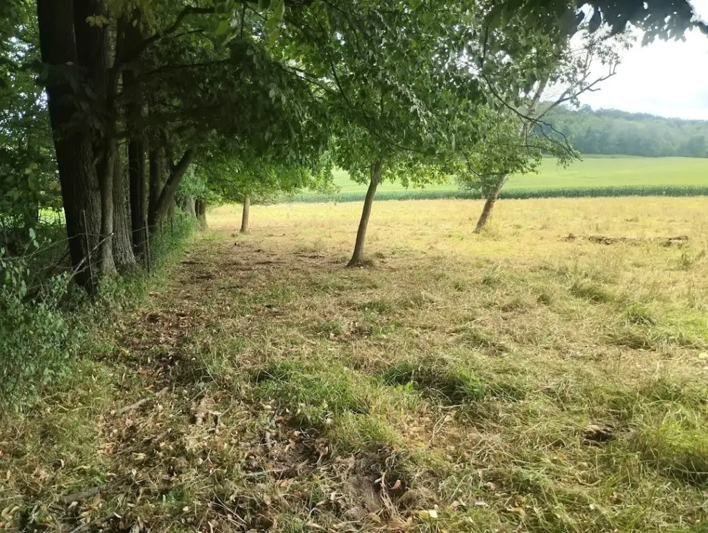 Picture 8