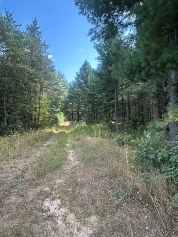 Picture 6