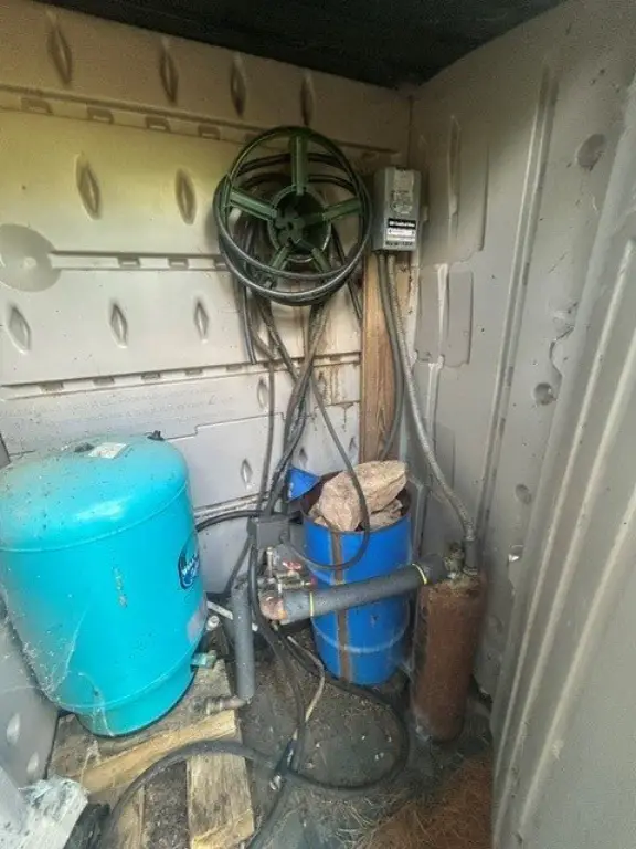 Picture 5