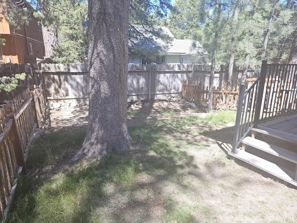 Picture 52