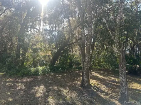 Waterfront Lot in Hernando, FL