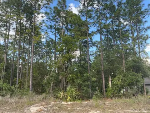 Residential Lot in Citrus Springs