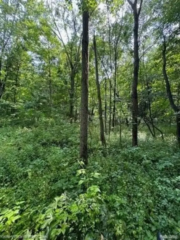 Picture 7