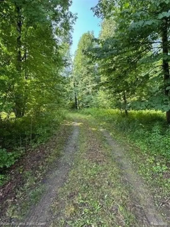 Picture 3