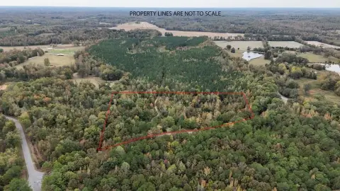 Ten Acres in Camden, Tennessee