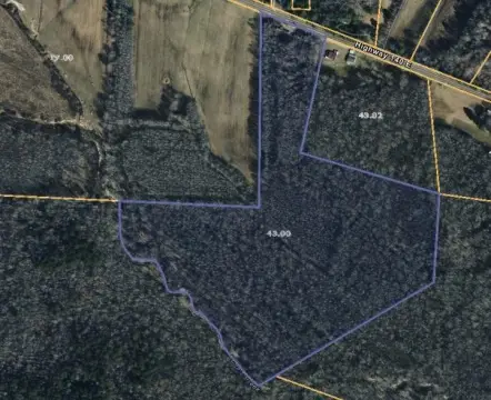 Wooded Acreage Near Paris Landing