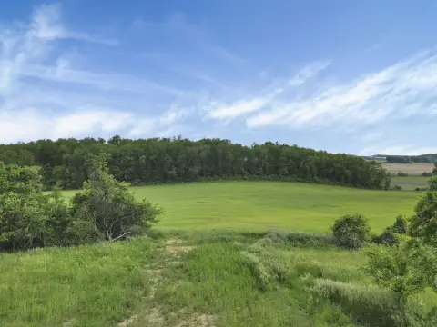 Certified Organic Farmland Near Buckeye