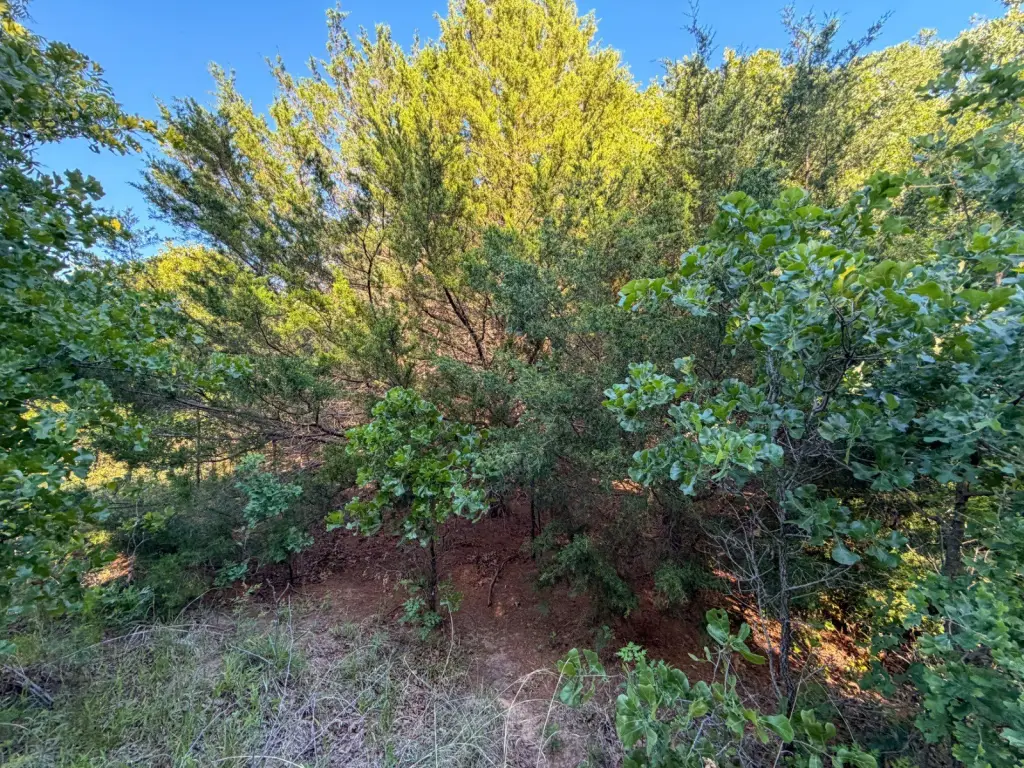 Picture 40