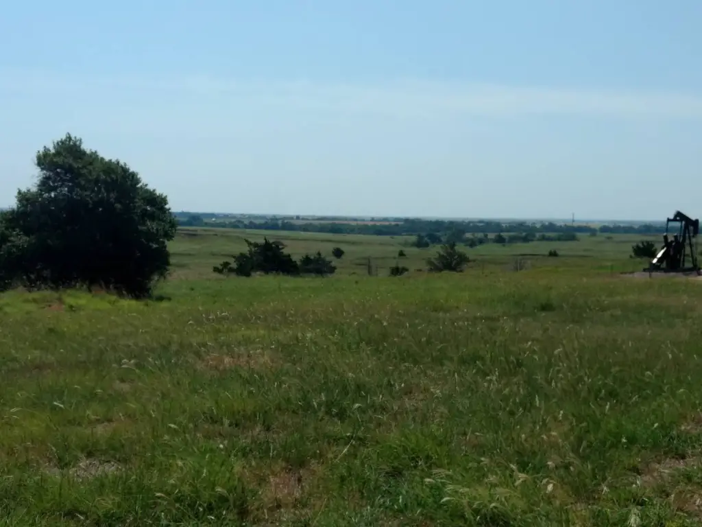 Picture 6
