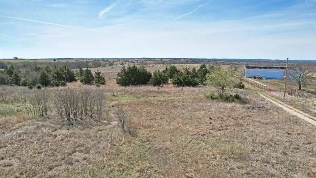Picture 6