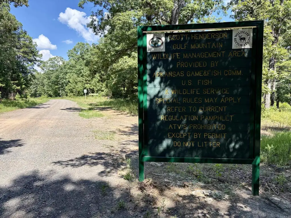 Picture 19