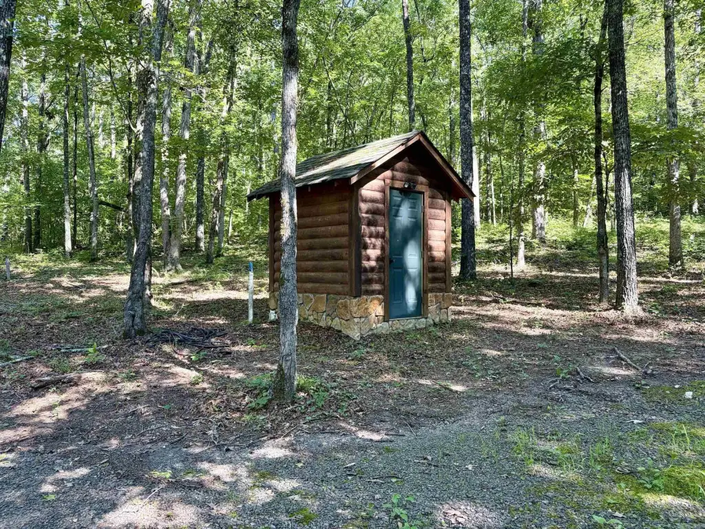 Picture 12