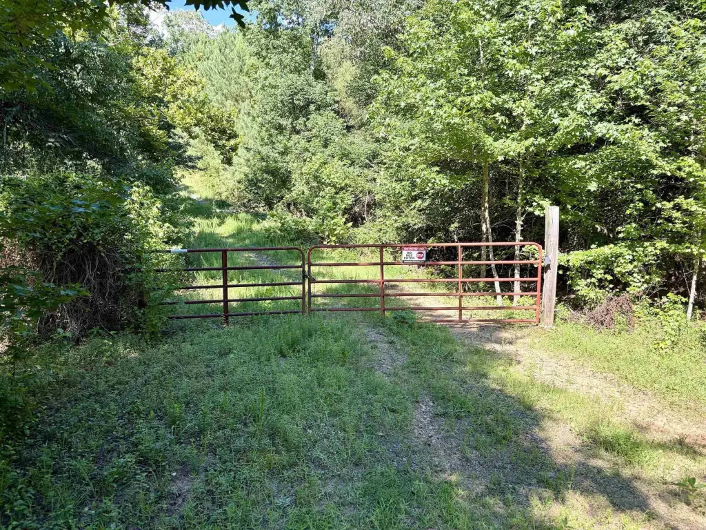 Picture 21
