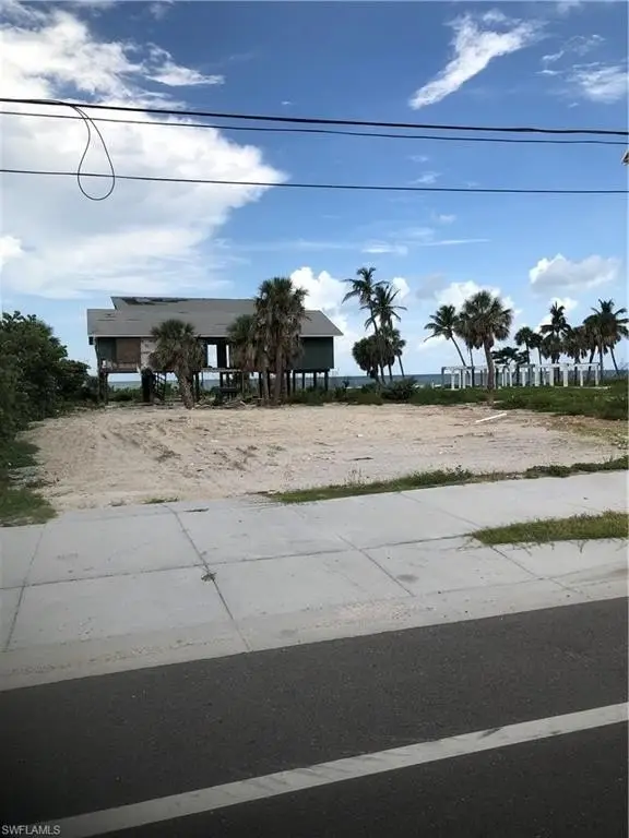 Picture 5