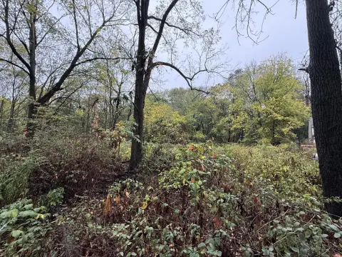 Plainwell Commercial Development Opportunity