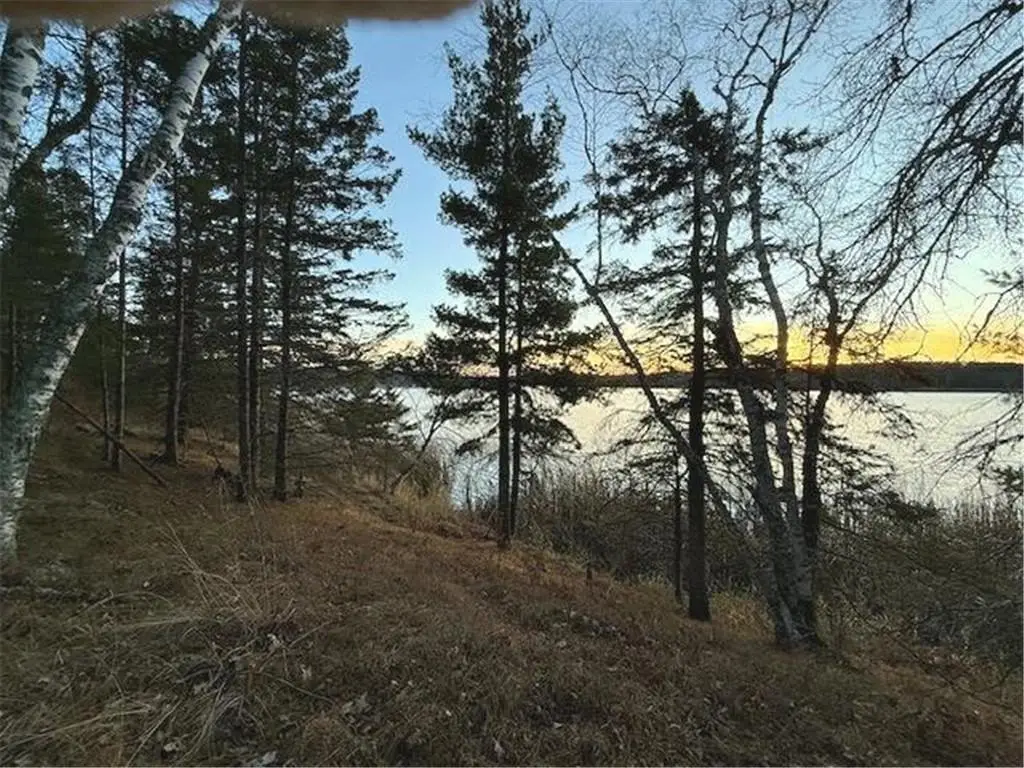 Picture 42
