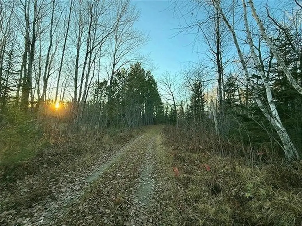 Picture 7
